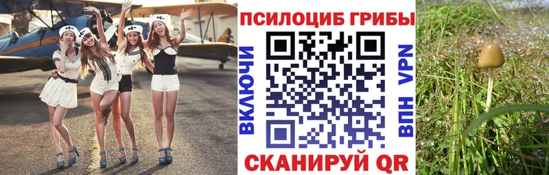 купить закладку  Великий Новгород  omg рабочий сайт  Галлюциногенные грибы прущие грибы 